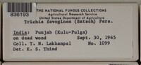 Image Associated With the Occurence